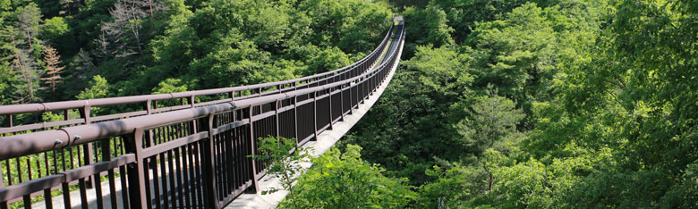 農村公園吊り橋