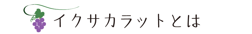 イクサカラットとは