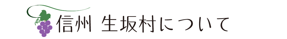 信州 生坂村について