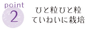 point2ひと粒ひと粒ていねいに栽培