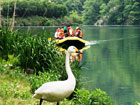 水鳥公園