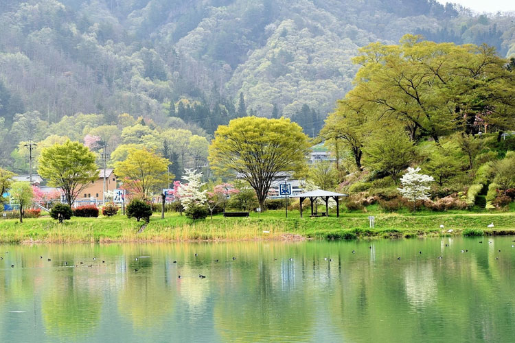 水鳥公園