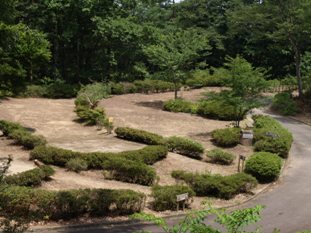 高津屋森林公園